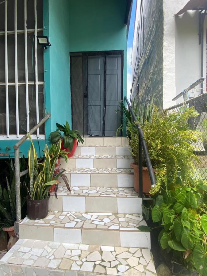 Blue Morpho House B&B Vườn quốc gia Vườn quốc gia Manuel Antonio Ngoại thất bức ảnh