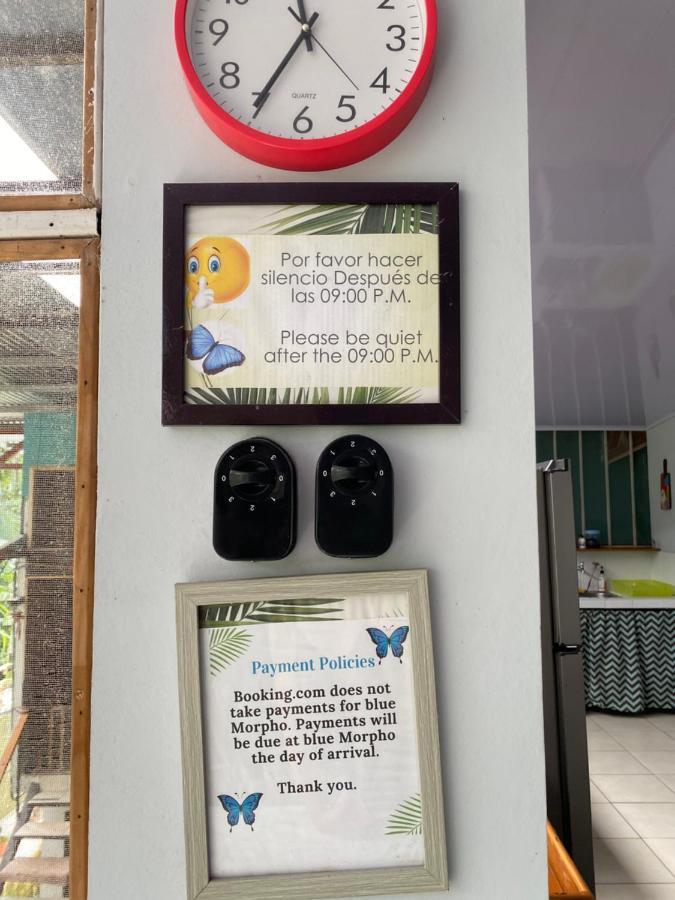 Blue Morpho House B&B Vườn quốc gia Vườn quốc gia Manuel Antonio Ngoại thất bức ảnh