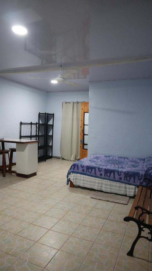 Blue Morpho House B&B Vườn quốc gia Vườn quốc gia Manuel Antonio Ngoại thất bức ảnh