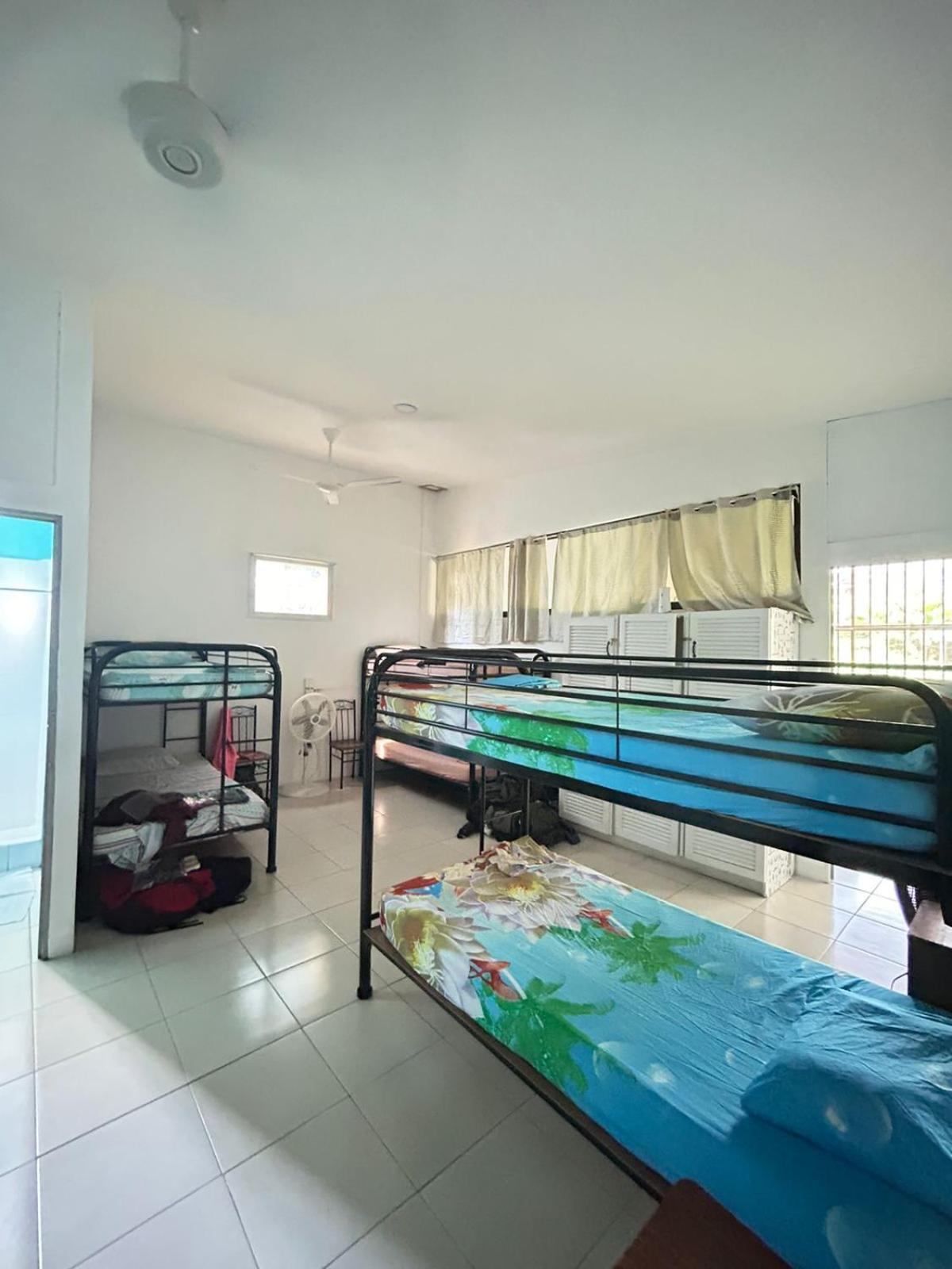 Blue Morpho House B&B Vườn quốc gia Vườn quốc gia Manuel Antonio Ngoại thất bức ảnh